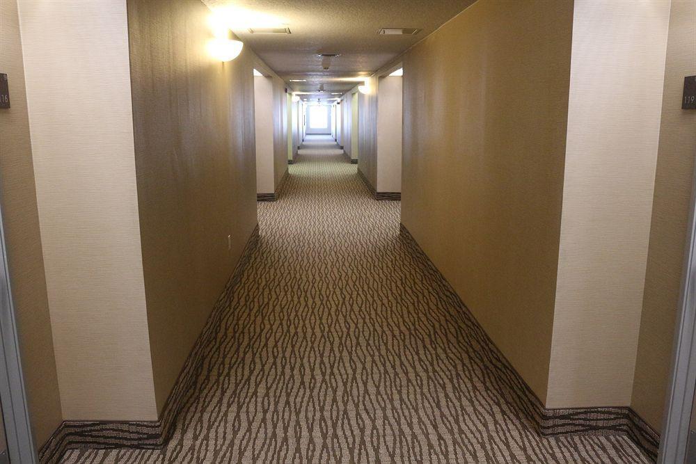 Comfort Suites New Braunfels Eksteriør billede