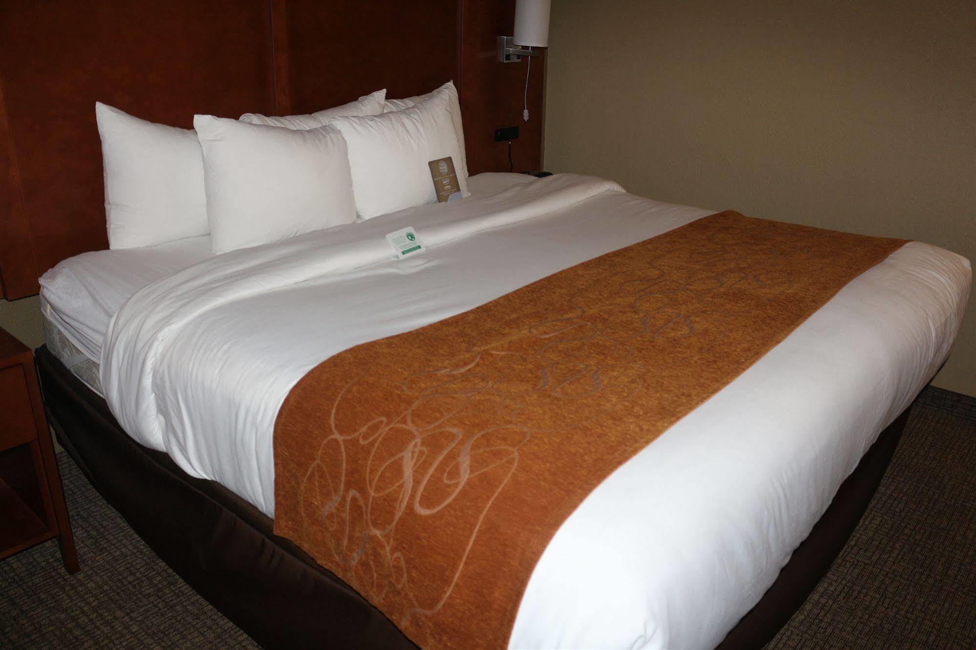 Comfort Suites New Braunfels Eksteriør billede