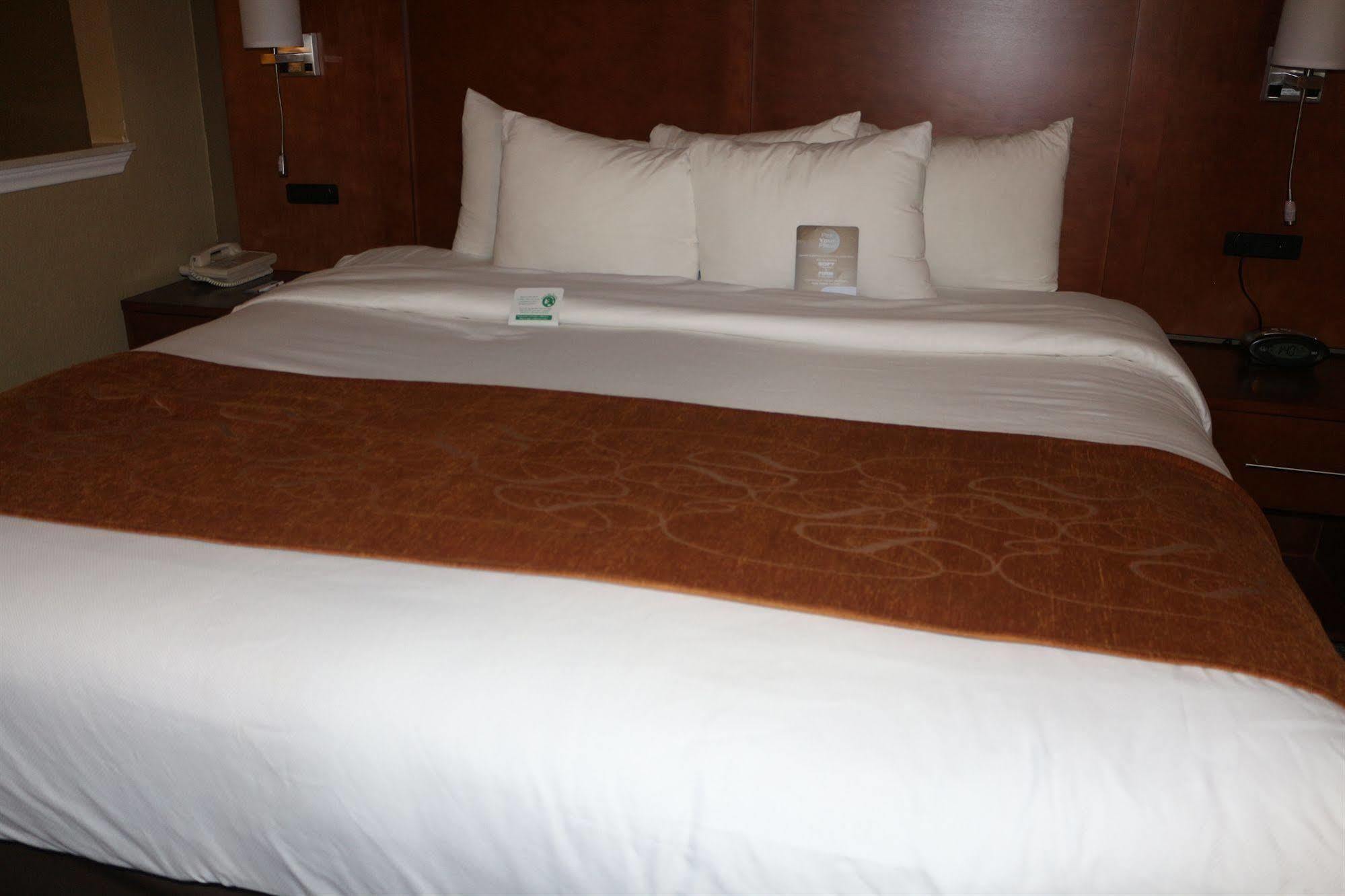 Comfort Suites New Braunfels Eksteriør billede