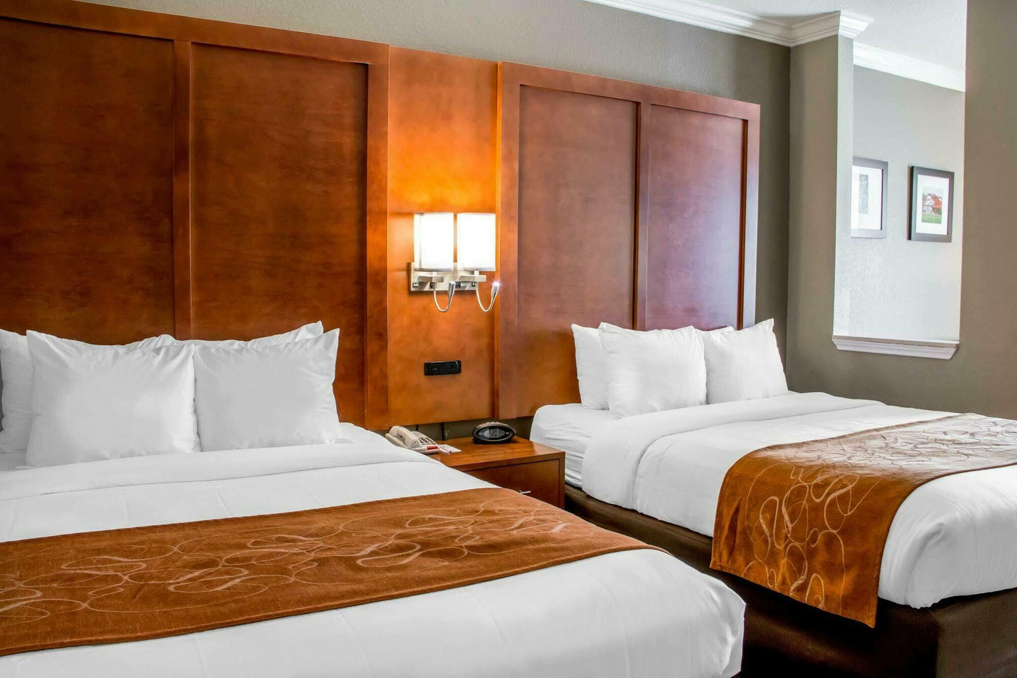 Comfort Suites New Braunfels Eksteriør billede